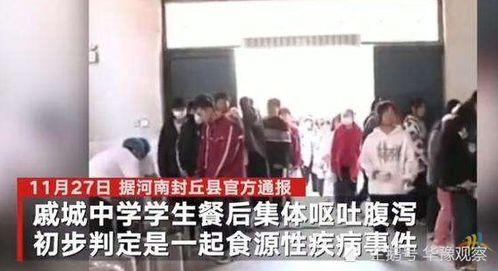 河南中学爆料事件视频,揭开校园乱象的真相  第2张